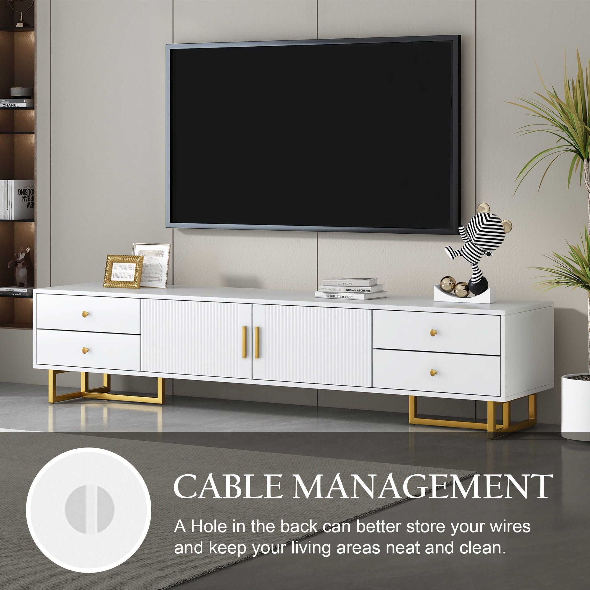 Modern TV Stand With Storage For Living Room