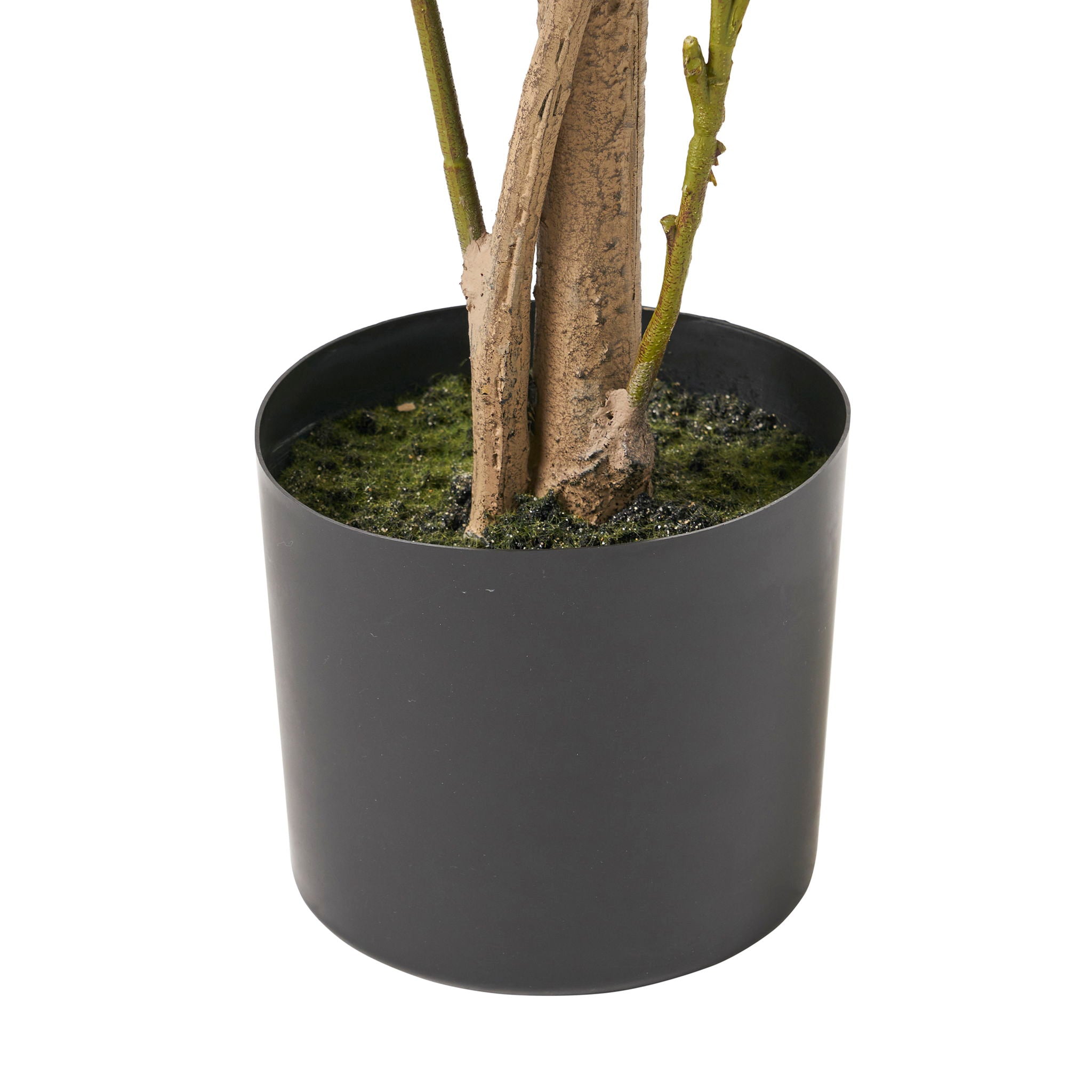 Artificial Laurel Tree