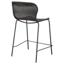 Mckinley Faux Rattan Metal Bar Chair Brown (Set of 2)