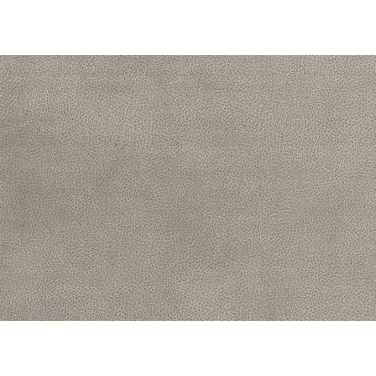 Celeste - Power Double Reclining Loveseat