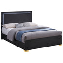 Marceline Wood  LED Panel Bed Black