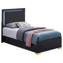 Marceline Wood  LED Panel Bed Black