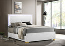 Marceline Wood  LED Panel Bed Black