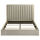 Arielle  Bookcase Panel Storage Bed Light Oak