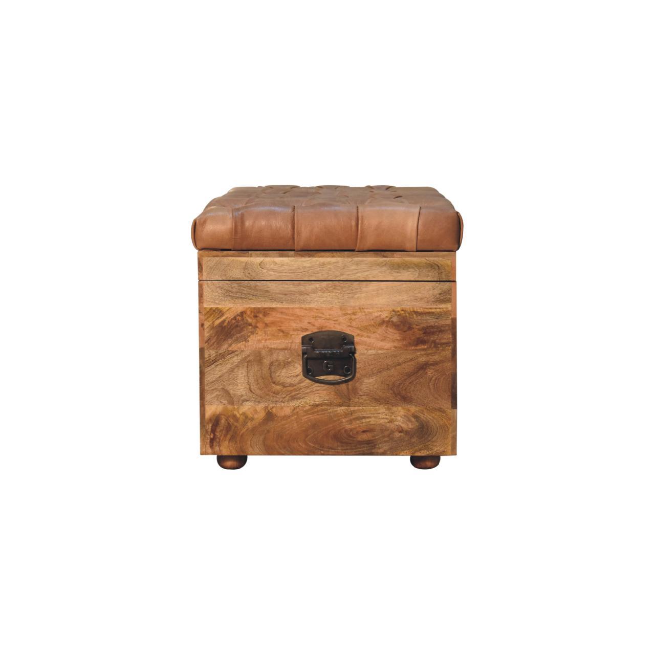 Buffalo - Storage Trunk