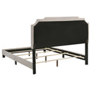 Tamarac Upholstered  Panel Bed Beige