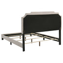 Tamarac Upholstered  Panel Bed Beige