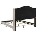 Sonoma Upholstered  Wingback Bed Beige