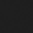 Fisher  Workstation Loft Bed Gunmetal