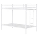 Alevera Metal Bunk Bed with Ladder Black
