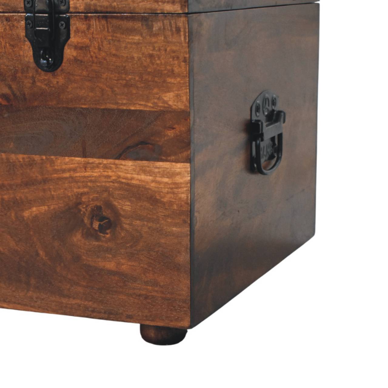 Buffalo - Storage Trunk