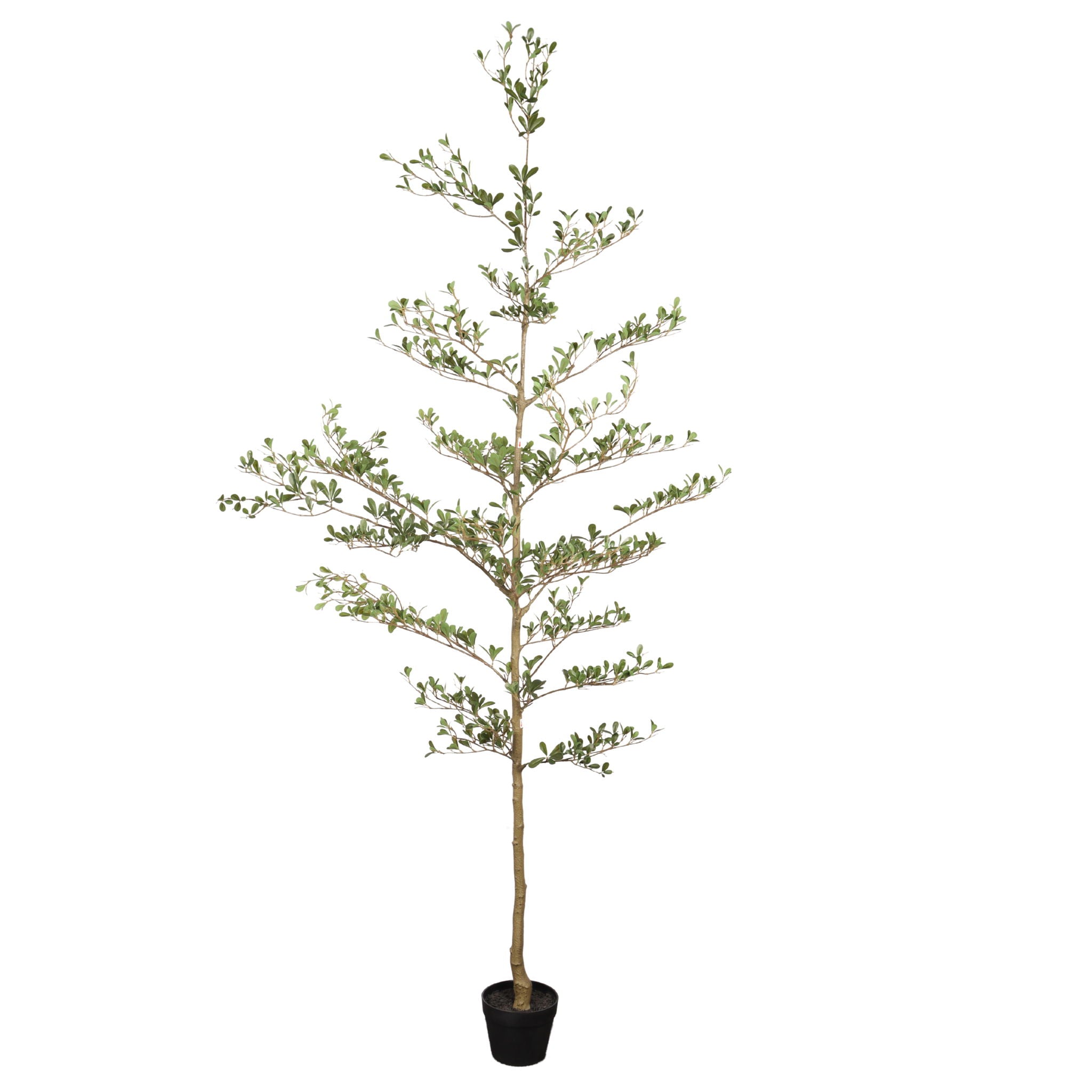7Ft Artificial Olive Tree With Pot, Realistic Tall Fake Plant For Indoor Decoration - Green Leaves