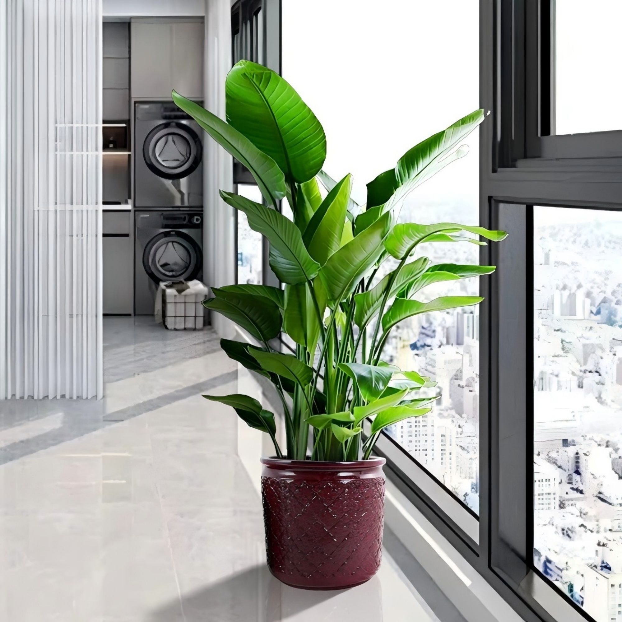 3 Pieces Ceramic Flowerpot, Planter For Patio & Garden Or Windowsills - Bean Paste Red