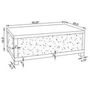 Gillian Rectangular Mirrored Acrylic Coffee Table Silver