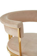Modrest Munith - Modern Beige Velvet + Gold Dining Chair