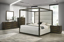 Modrest Manhattan - Contemporary Brown Oak and Gold Chest