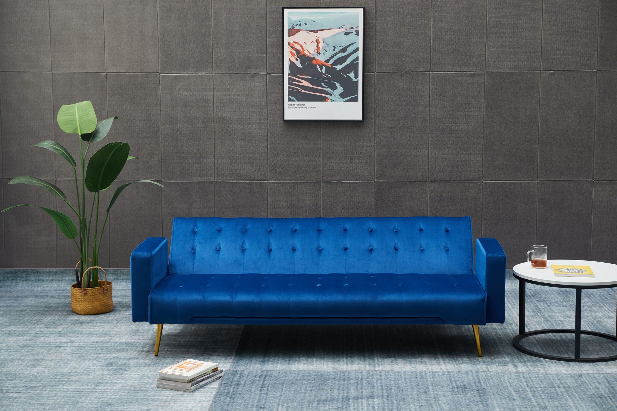 Comfort Compact Design Sofa Bed