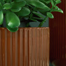 Avalyah Vase (2/CS)