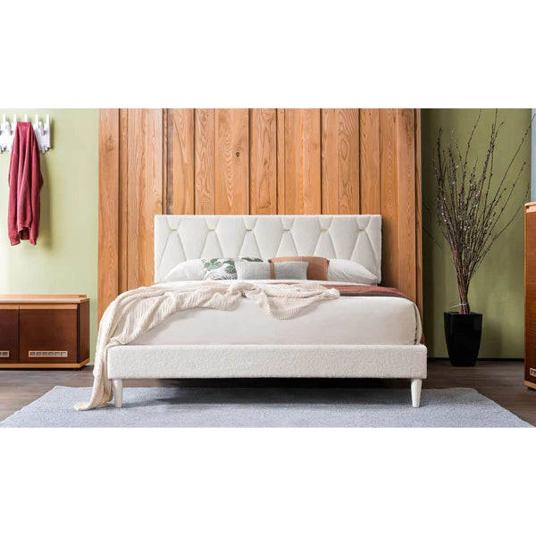 B8071 Kiran (Cream)