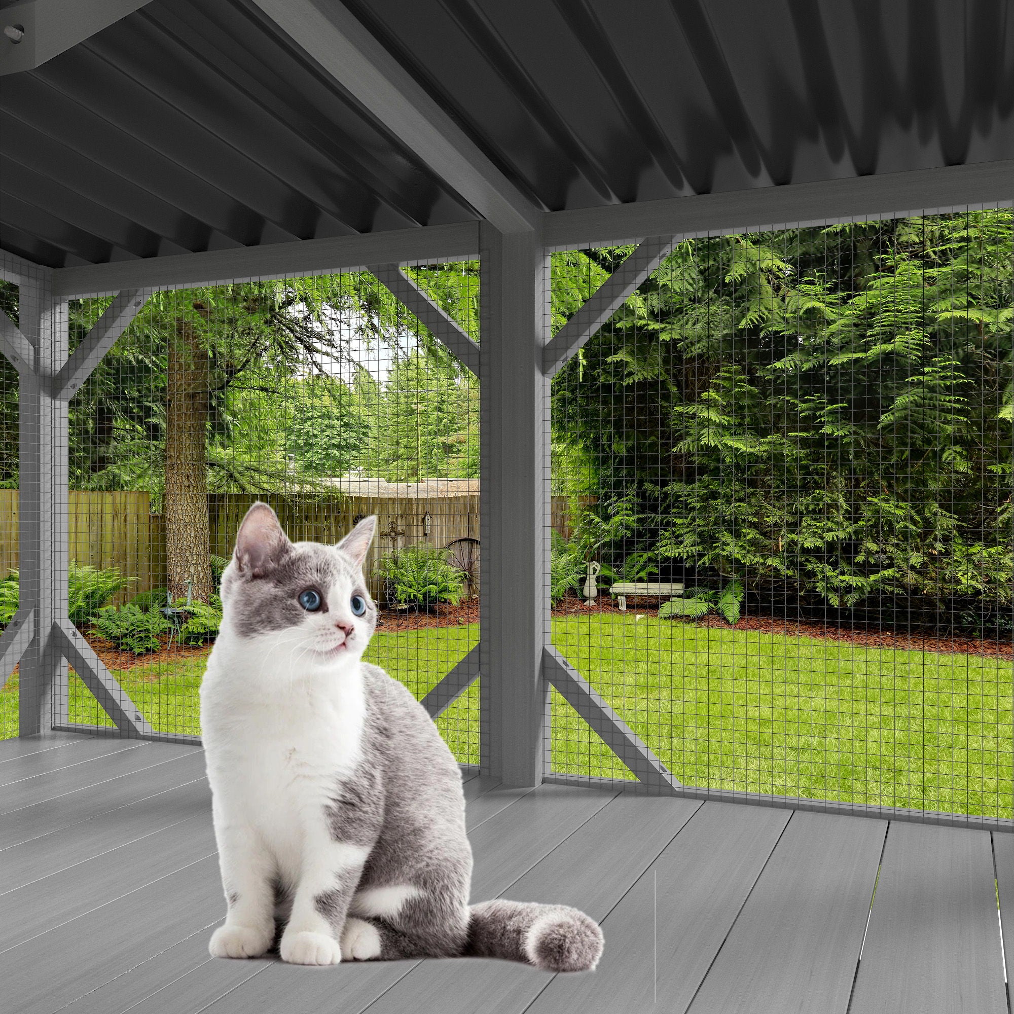 Cat Window Box