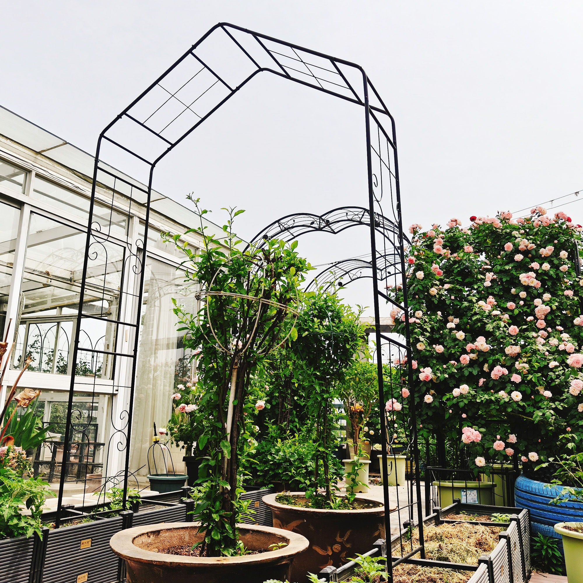 Garden Arch, Climbing Plants Support Outdoor - Black
