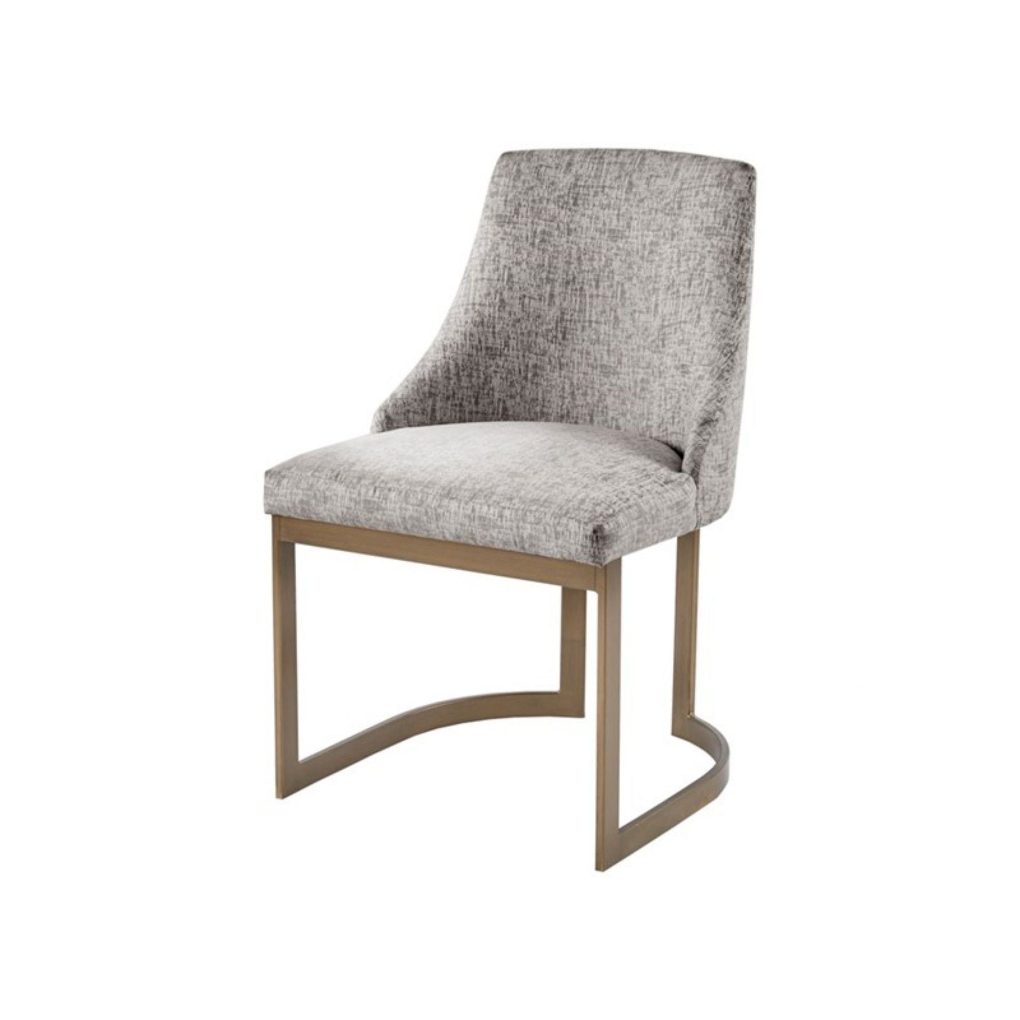 Contemporary Modern Accent Dining Chairs (Set of 2)