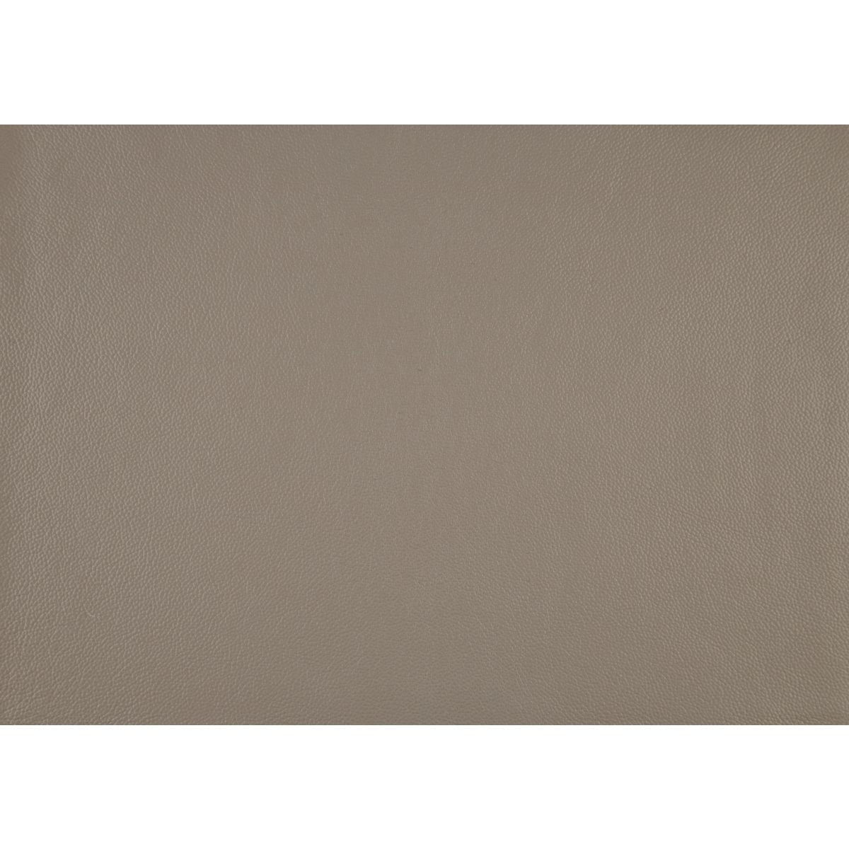 Laconia - Reclining Chair