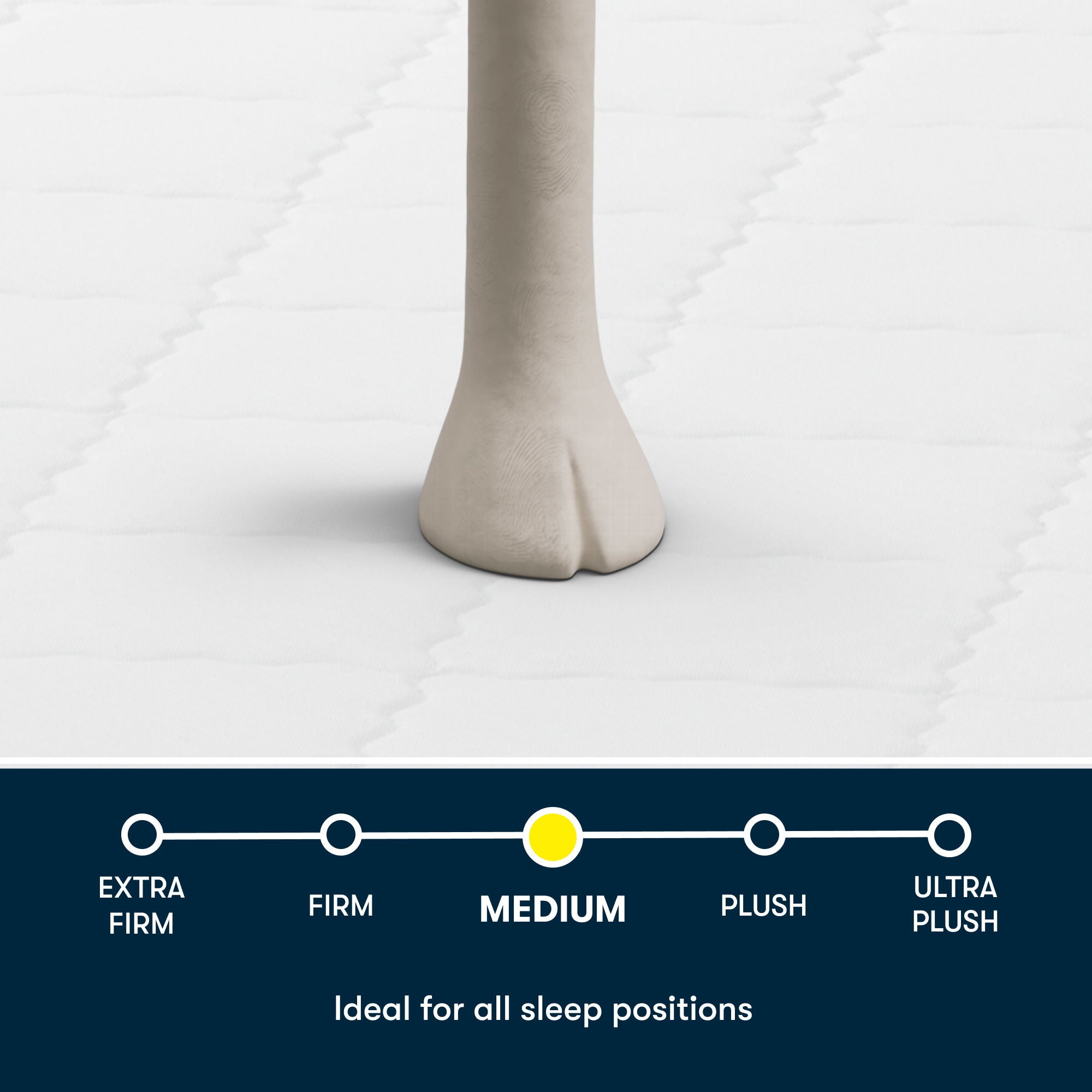 Perfect Day - 8" Serta Medium Mattress in a Box