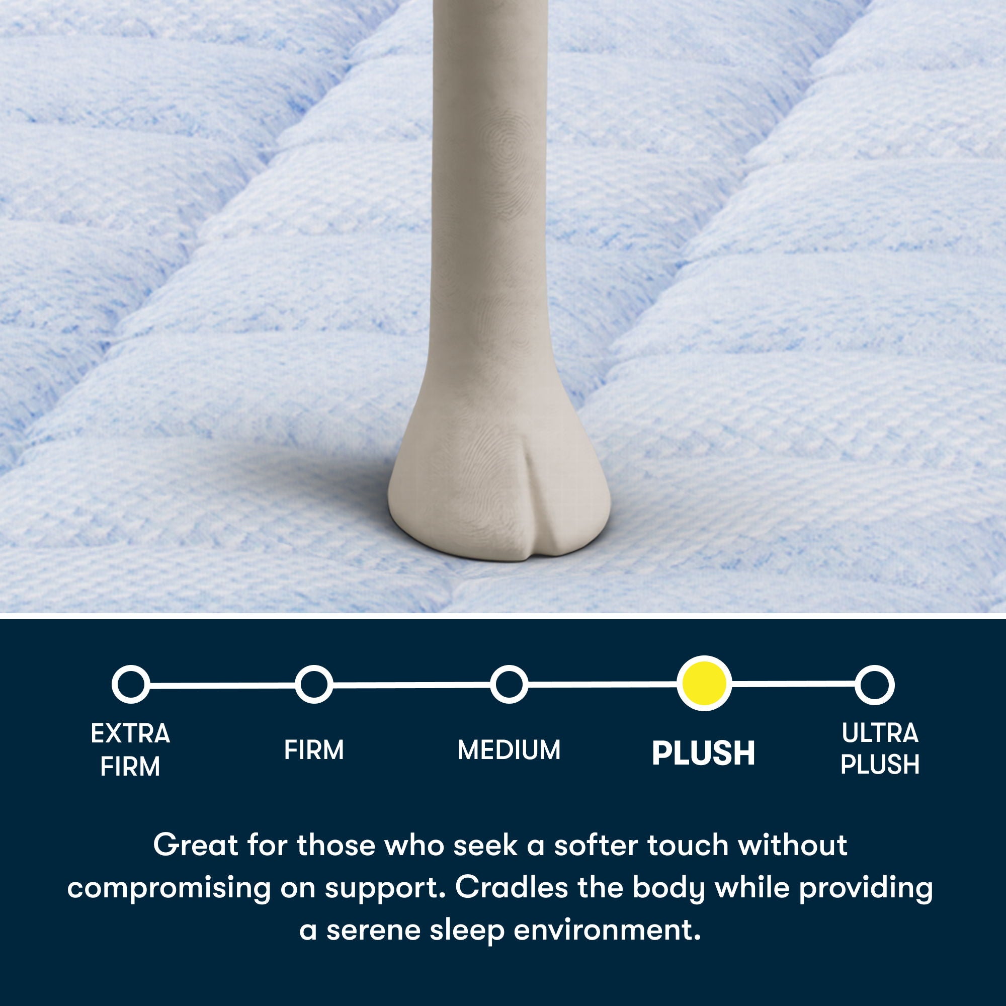 Perfect Day - 16" Plush Pillow Top Mattress in a Box