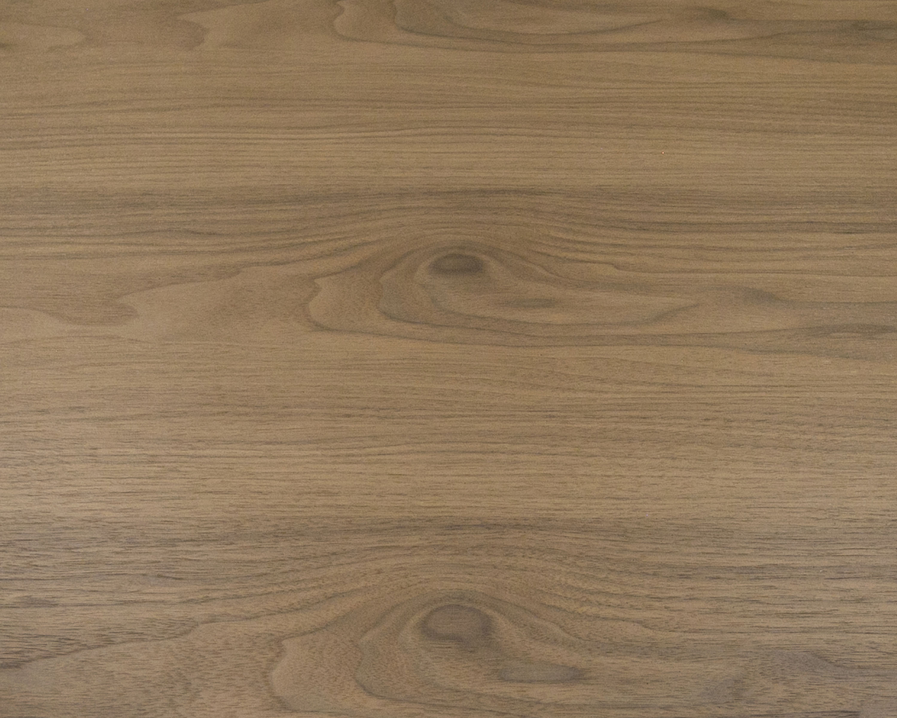 Modrest Heloise - Modern Walnut and Stainless Steel Coffee Table