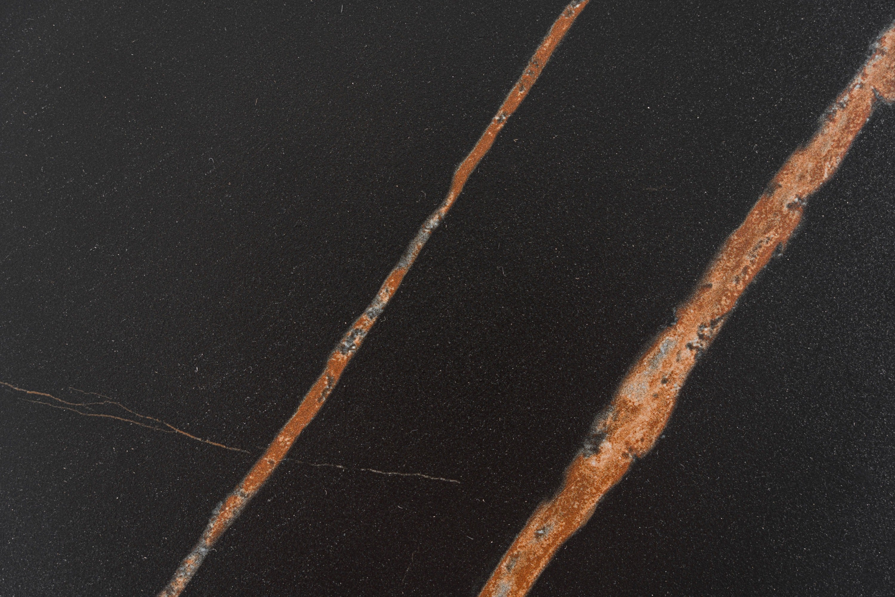 Modrest Ricko - Modern Black Ceramic + Smoked Ash Freeform Coffee Table
