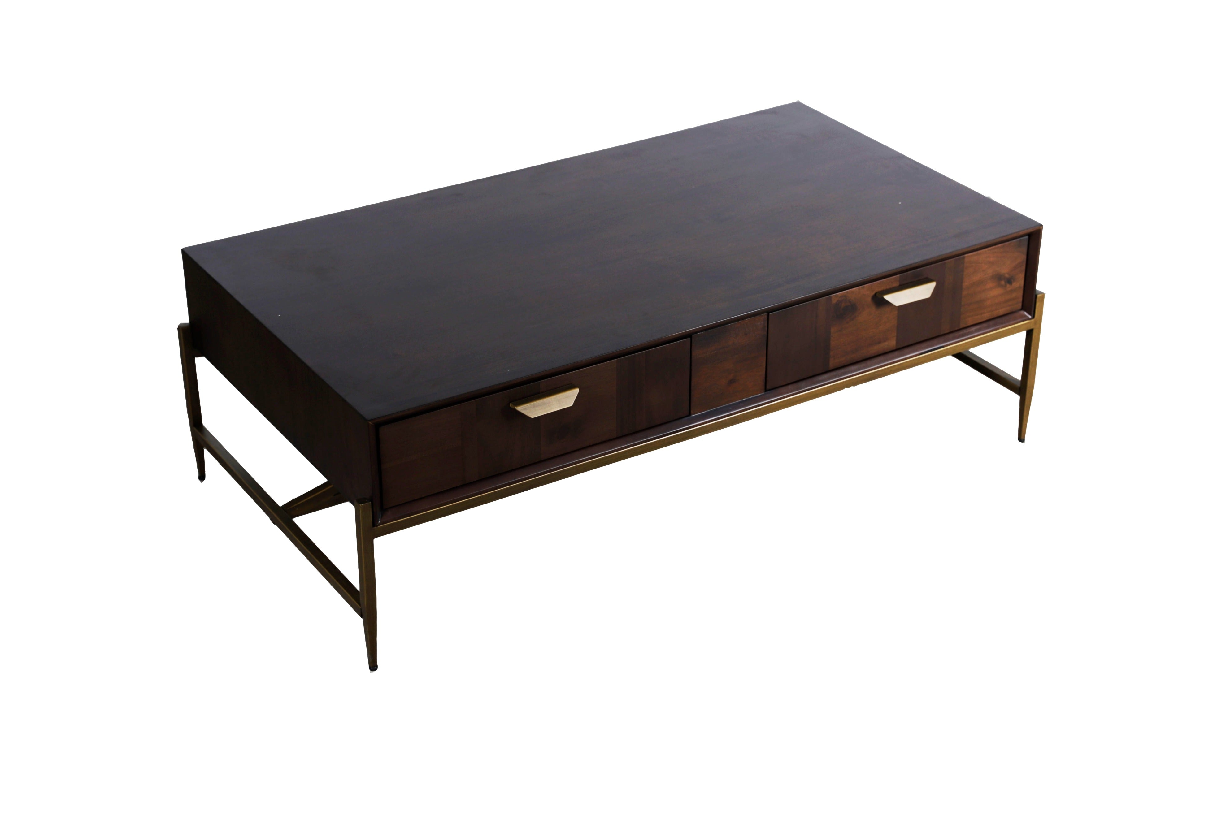 Modrest Shane - Modern Acacia & Brass Coffee Table