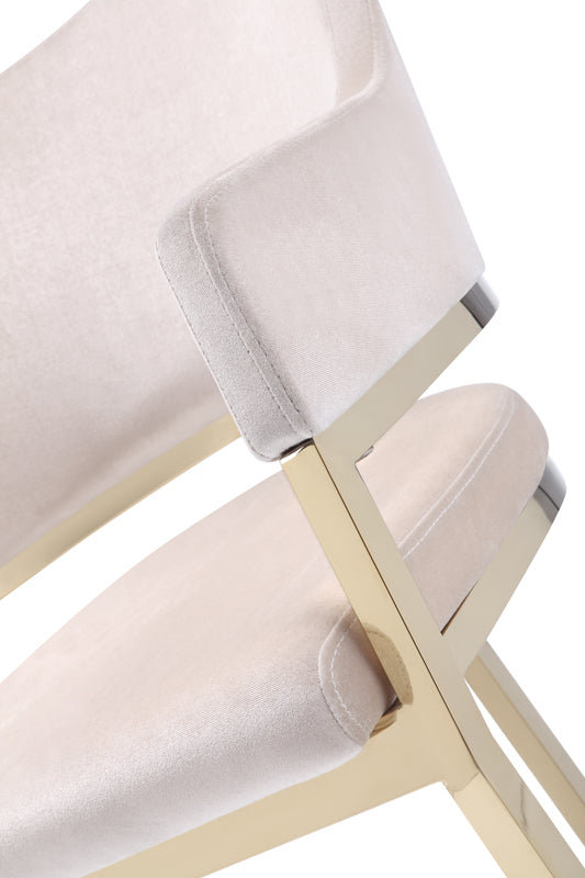 Modrest Tulsa Modern Cream Velvet & Gold Dining Chair