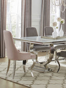 Antoine Velvet Upholstered Dining Side Chair Grey (Set of 2)