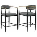 Tina Fabric Upholstered Bar Chair Dark Grey (Set of 2)