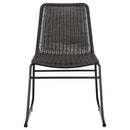 Dacy Faux Rattan Metal Dining Side Chair Brown (Set of 2)