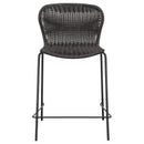 Mckinley Faux Rattan Metal Bar Chair Brown (Set of 2)