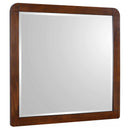 Robyn Dresser Mirror