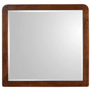 Robyn Dresser Mirror