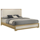 Hyland  Panel Bed LED Headboard Natural
