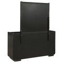 Leandro 8-drawer Bedroom Dresser with Mirror Burnished Black