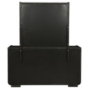 Leandro 8-drawer Bedroom Dresser with Mirror Burnished Black