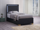 Marceline Wood  LED Panel Bed Black