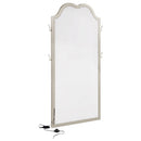 Evangeline  Length LED Light Floor Mirror Silver Oak