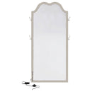 Evangeline  Length LED Light Floor Mirror Silver Oak