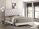 Kendall Upholstered Queen Panel Bed White