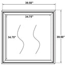 Lucia Dresser Mirror