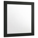 Carlton Dresser Mirror Cappuccino