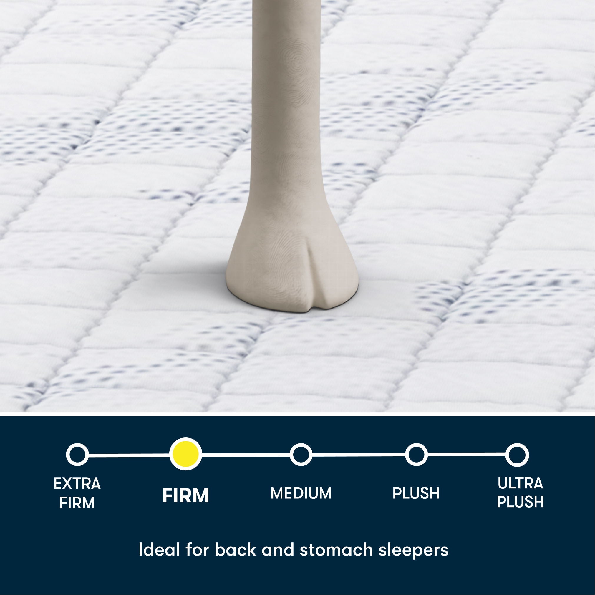 Perfect Day - 12" Serta Firm Mattress in a Box