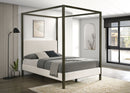 Monroe Upholstered  Canopy Bed Vanilla